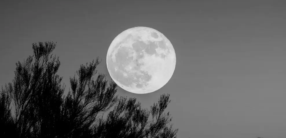 Fotografía luna llena